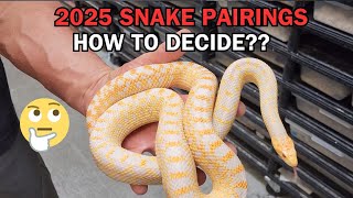What DECIDES what SNAKES pair with which? How many males may mate with multiple females? Feeding tip