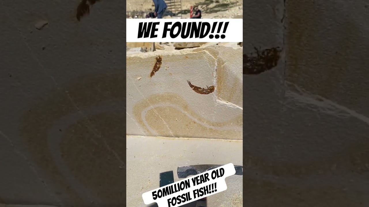 These fish have been trapped here for millions of years!!! 