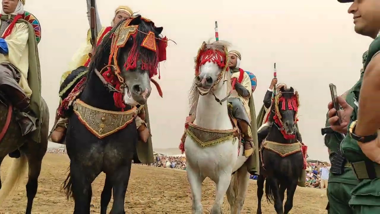 وعدة سيدي الشارف جزء الرابع(مستغانم)معا حضور السيد الوالي وسلطات المحلية في الجزائر 14سبتمبر 2022