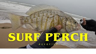 SURF FISHING TIPS and TRICKS: EASY LIMIT with Lucky Craft Lures