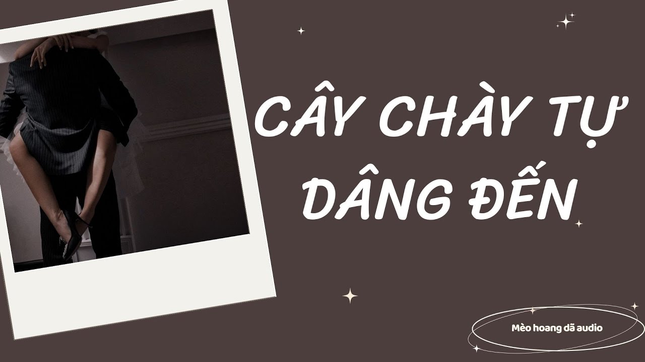 CÂY CHÀY TỰ DÂNG ĐẾN - Mèo hoang dã audio.
