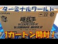 遊戯王】ターミナルワールド1カートン開封！ 美しきシークレット