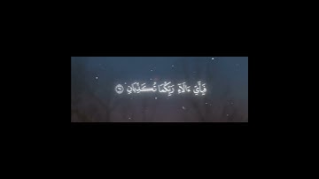 اكتب شيء تؤجر عليه 🩶😴 #القارئ_ياسر_الدوسري #Karim_Quran_1