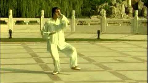 Wu Style 46 form Tai Chi 1996