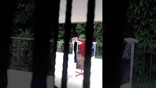 Monkey in the jungle Thomson plaza Singapore I taken this video  last year Feb. 2018 screenshot 4