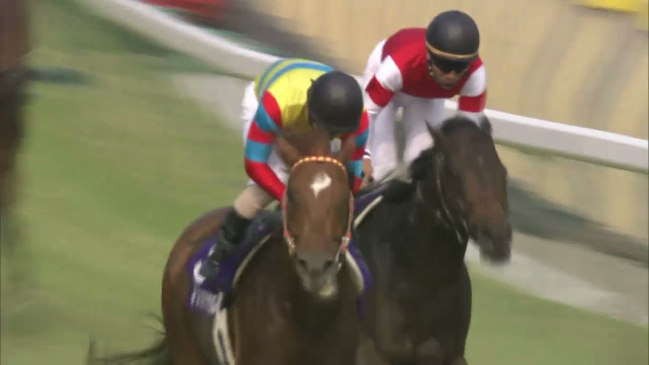【期限切れ単勝馬券】　第53回　安田記念　アグネスデジタル　ウマ娘 期限切れ単勝馬券】 第53回 安田記念 アグネスデジタル ウマ娘