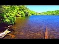 4K映像 神秘的な苔の森「初夏の白駒池 北八ヶ岳の原生林」森林浴 標高2,115m 絶景癒し自然風景 Japan Nature Relaxation Summer Yatsugatake