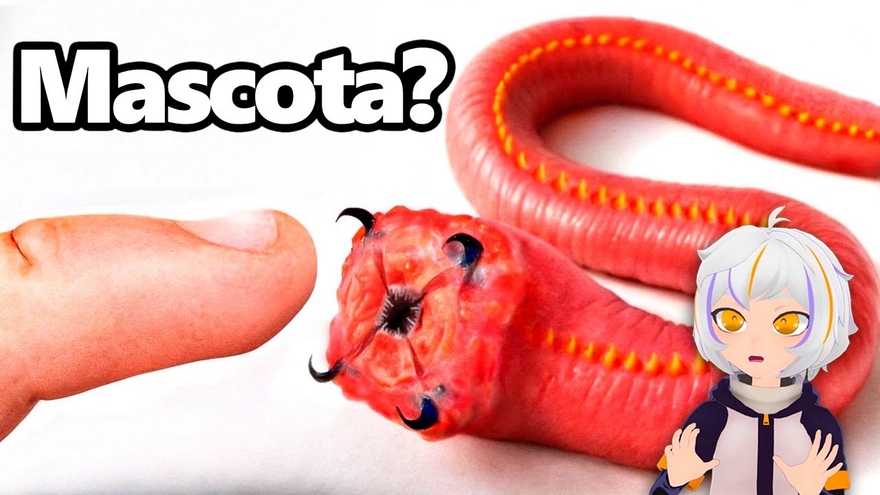 Conseguí un Gusano de Sangre Como Mascota (sí, en serio) | ChuyMine REACCIONA a TerraVerde Español