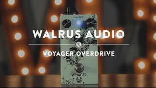 Walrus Audio Voyager Overdrive | Reverb Demo Video