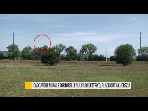Cacciatore mira alle tortorelle sul filo elettrico: blackout a Lucrezia