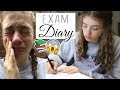 My Exam Diary 2018!! (an emotional rollercoaster) 🙈