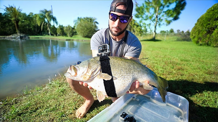 GOPRO Strapped On 12lb Largemouth BASS!! (Underwater Footage!)