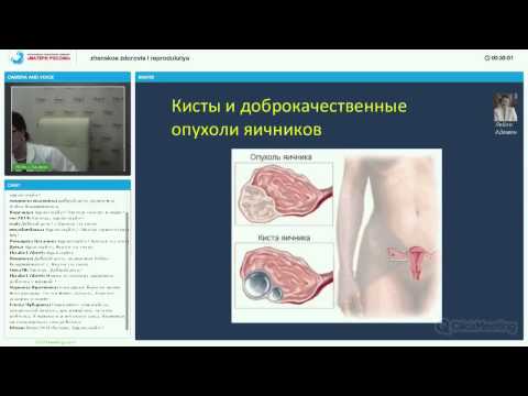 Женские заболевания и репродуктивная система