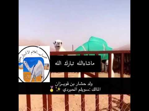 ولد حشار بن قويزان المالك سويلم الحبردي