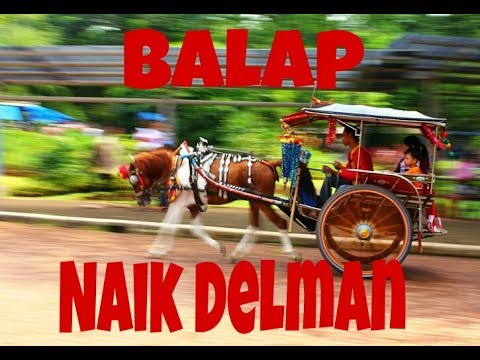 Pada Hari Minggu Naik Delman | Lagu Anak Indonesia