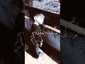 يا رب فرج على كل يتيم حبايب قلبي لا تنسو اللايك والأشتراك والكومنت شيروا القناة حبايب