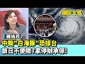 中颱"白海豚"恐掠台 旅日不便險7家停辦承保！【#國民大會 精華】20260804 #謝寒冰 #鍾沛君