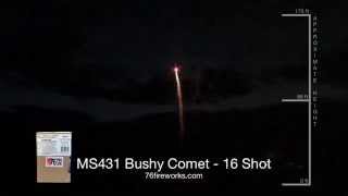 Bushy Comet 16 Shot