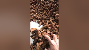 Gói rễ mú từn loại 1 cho các bác