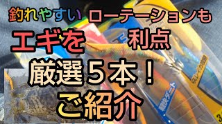 【エギング】釣れるエギ厳選５本！サーチ無くとも大丈夫！