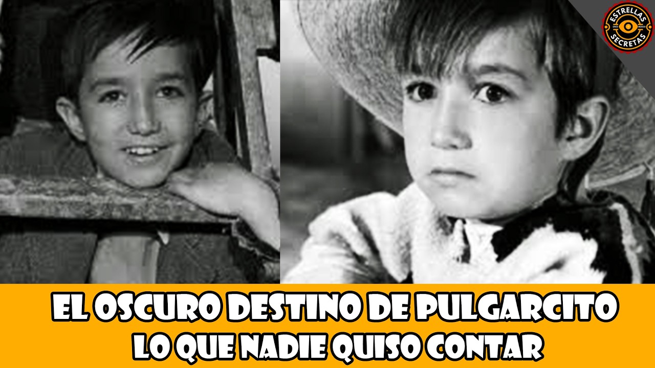 EL OSCURO DESTINO DE PULGARCITO: LO QUE NADIE QUISO CONTAR - YouTube