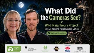 What Did the Cameras See? | Wild Neighbours Project – Quolls, Gliders & Hidden Wildlife