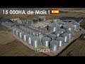 15 000HA DE MAÏS EN ESPAGNE !!! 🇪🇸