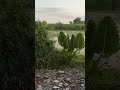 kita pantau menanam padi 🌾 secara jauh #reels #viral #tandur