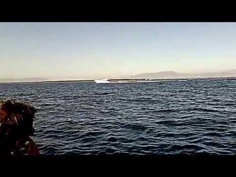 spinning gommone mare torre astura foce verde anzio