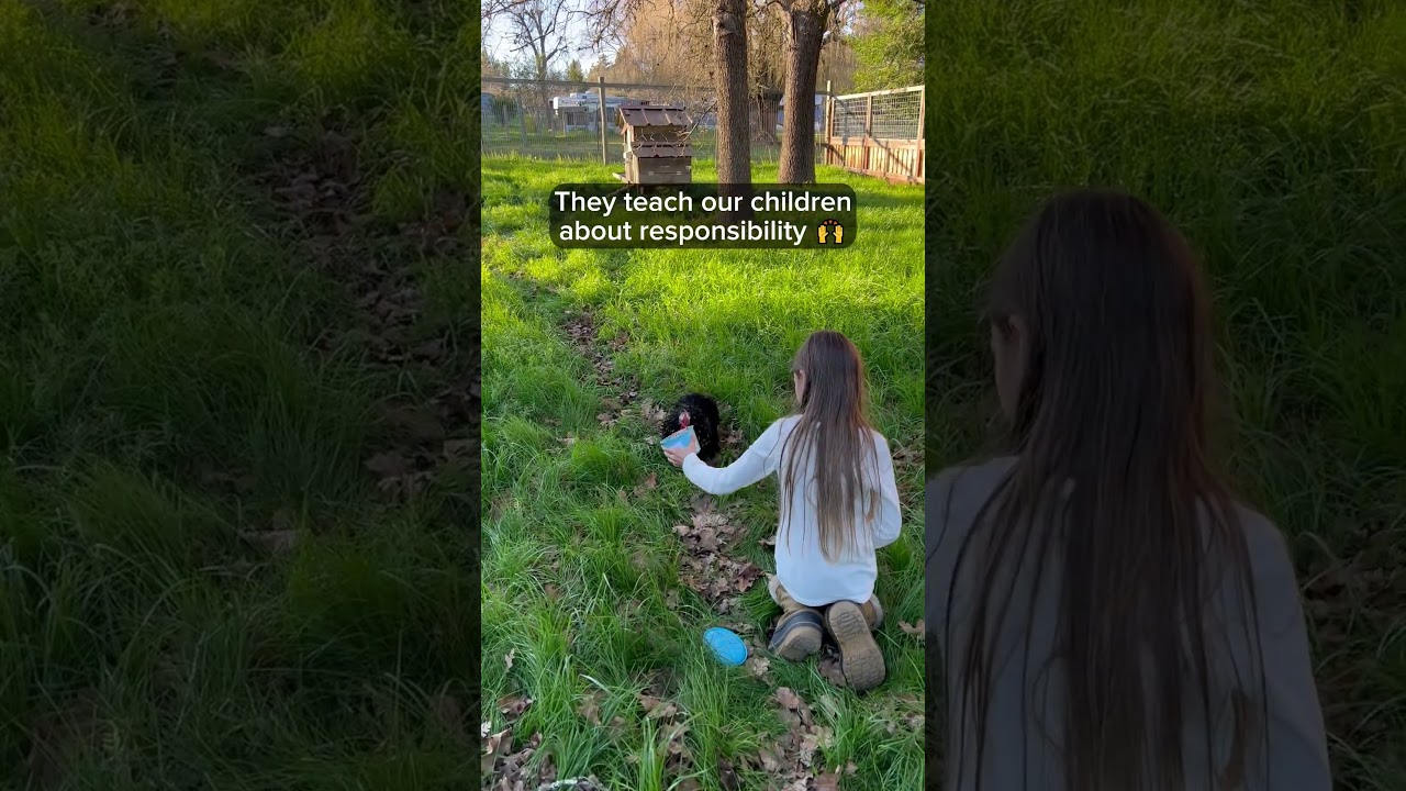 🐣 5 Reason We Love Having Chickens! 🥰 