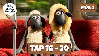 Download lagu Shaun the Sheep [ViệtNam] Mùa 2 Tập 16 - 20 | Mùa Tựu Trường 🚌🔔