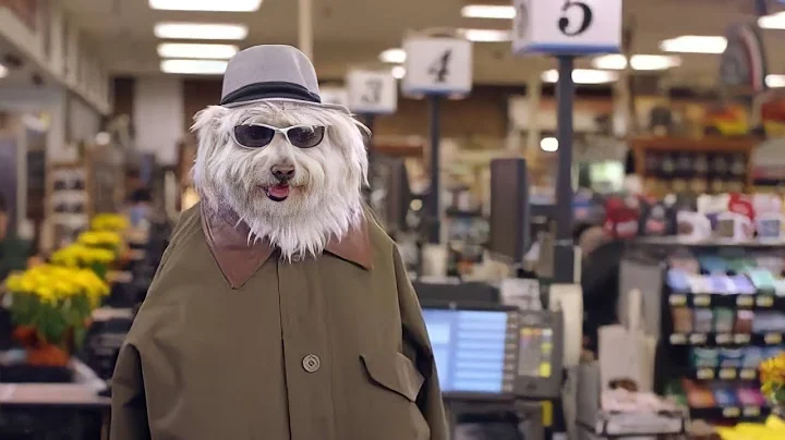 Best Doritos Commercials