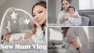 Meet my baby SIMBA | Postpartum Depression & Stretch Marks Q&A Vlog | GDiipa