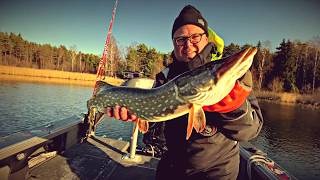 Haukikoira Vornasen Kanssa Kala Moottori Testasi Hauenpyyntiä Kalastusoppaan Opastuksella.