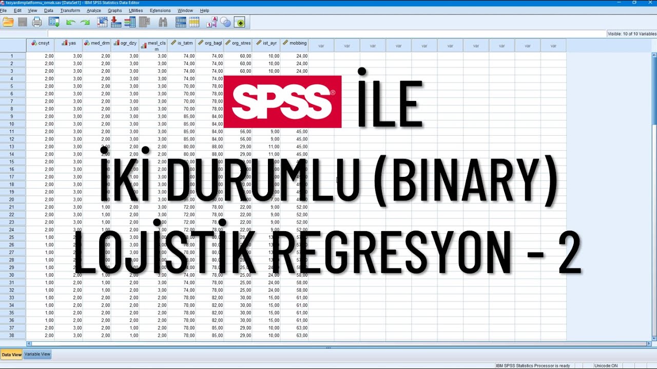 SPSS İle İki Durumlu (Binary) Lojistik Regresyon - 2