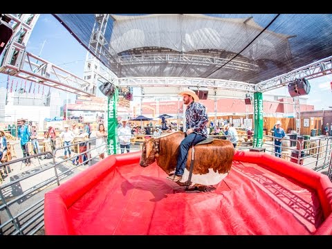 Bull Riding at The Stampede