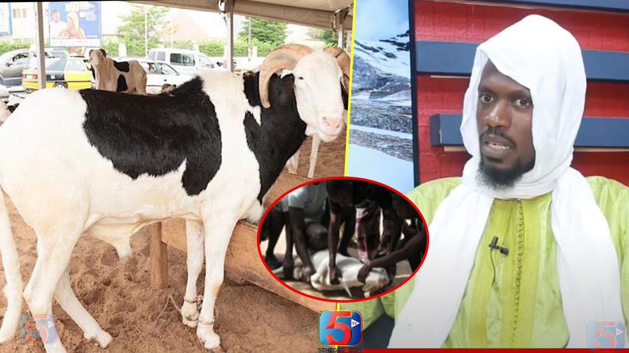 Tout Sur Le Sens De La Tabaski : Les Recommandations de Serigne Abdou ...