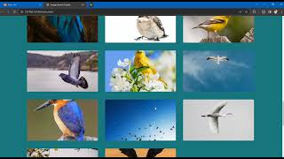 Image Search Engine