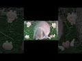 Bunny on repeat #hollandlop #bunnys