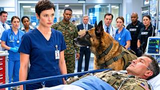 Quiet ER Nurse Silenced for Saving a Colonel—His Military K9 Led to a Federal Investigation