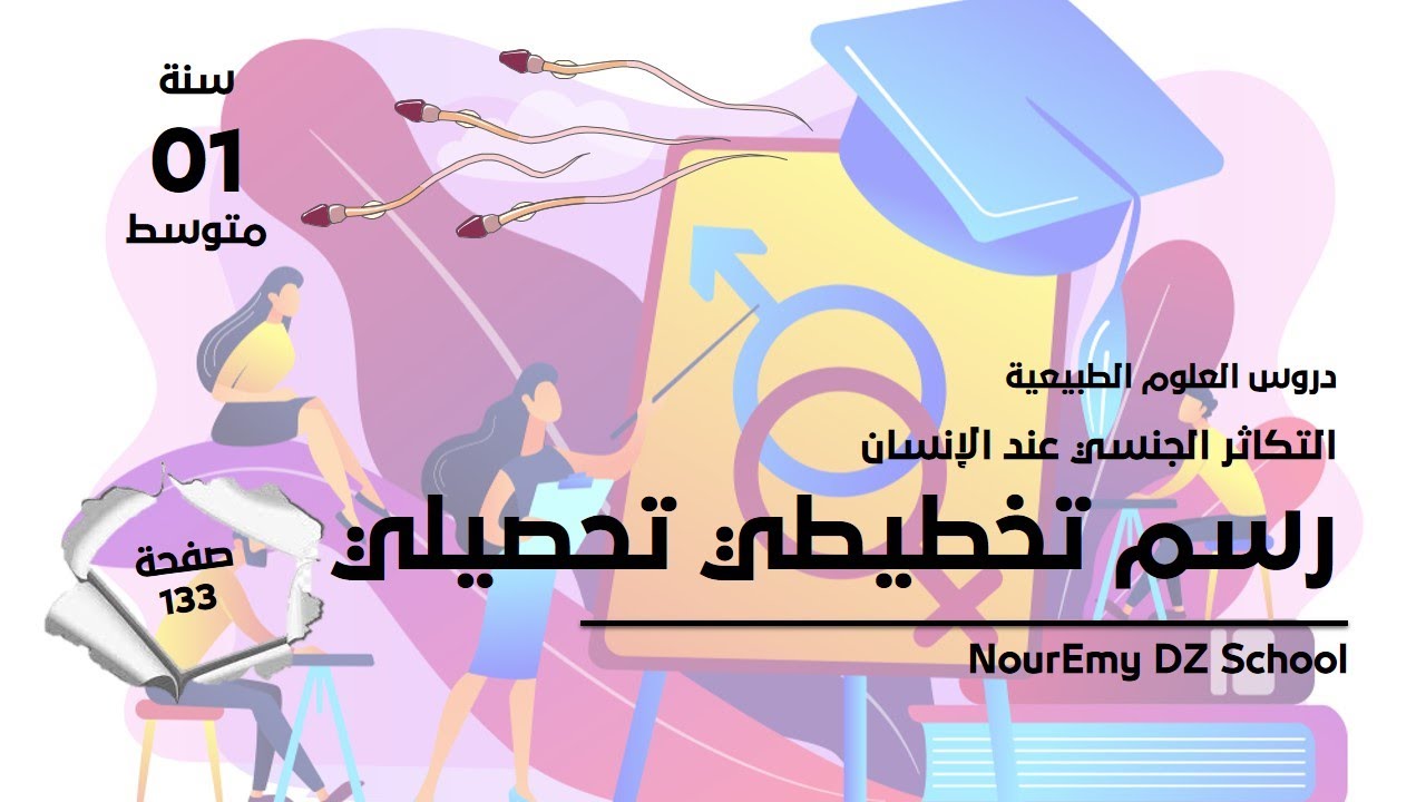 رسم تخطيطي تحصيلي  لمقطع التكاثر الجنسي عند الإنسان ص 133 علوم طبيعية سنة أ,لى متوسط