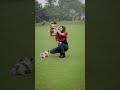“Paws, play &amp; pure happiness 🐾🤍”“Tiny paws, big happiness 🐶
