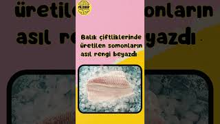 Duyunca Çok Şaşiracağiniz İlgi̇nç Bi̇lgi̇ler