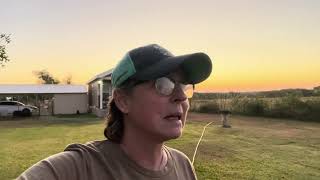 Just How Dry Are We? Fall Gardening In North Texas