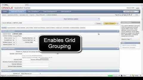 APEX & Ext JS Grid Integration