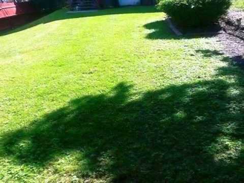 142 S 5th Ave, Coatesville, PA home video tour