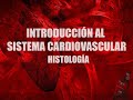 Introducción al estudio del sistema cardiovascular | Histología