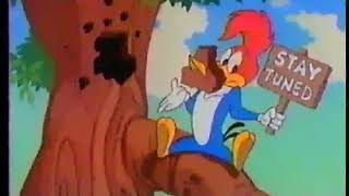 The Woody Woodpecker Show - Bumper Ident Teaser 1988 4K-Uhd-2160P60