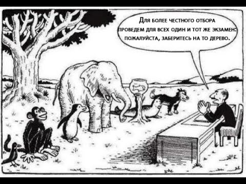 Стоит ли выполнять тестовые задания программистам?
