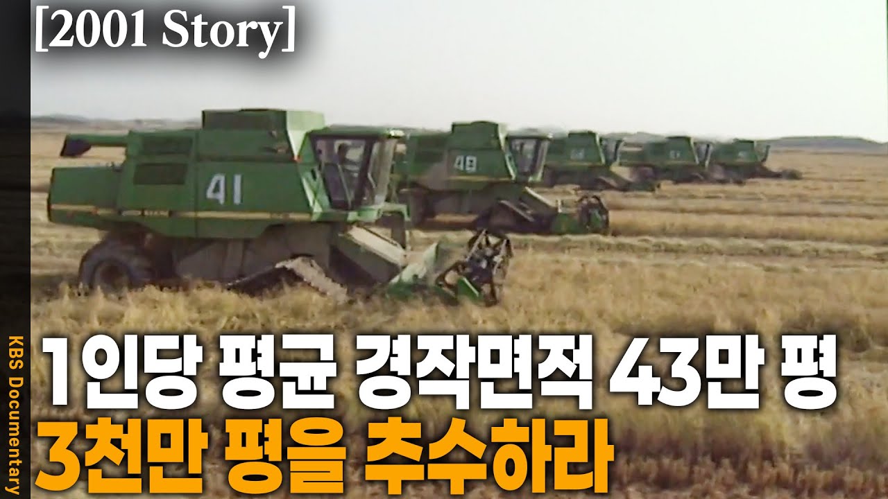 [2001 Story] 총 3122만 평 35일에 걸친 추수작전! 대규모 기업형 영농 서산농장의 추수 현장 | KBS 20011030 방송